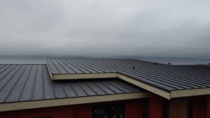 Fast & Reliable Emergency Roof Repairs in Skyline View, PA